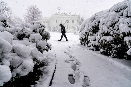 Sneg snežna oluja SAD Amerika Vašington