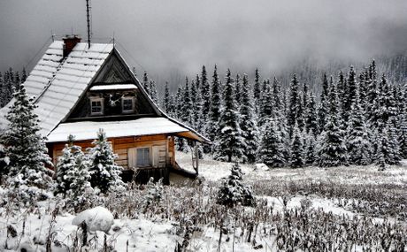 Brvnare, zimovanje Brvnare, zimovanje
