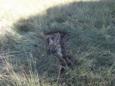 Leševi ovaca, mesto Šikići kod Pule