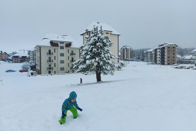 Sneg na Zlatiboru