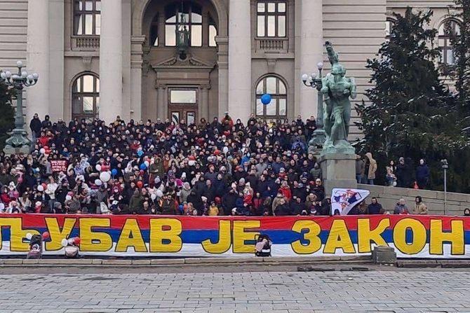 FK Crvena zvezda, navijači Crvene zvezde