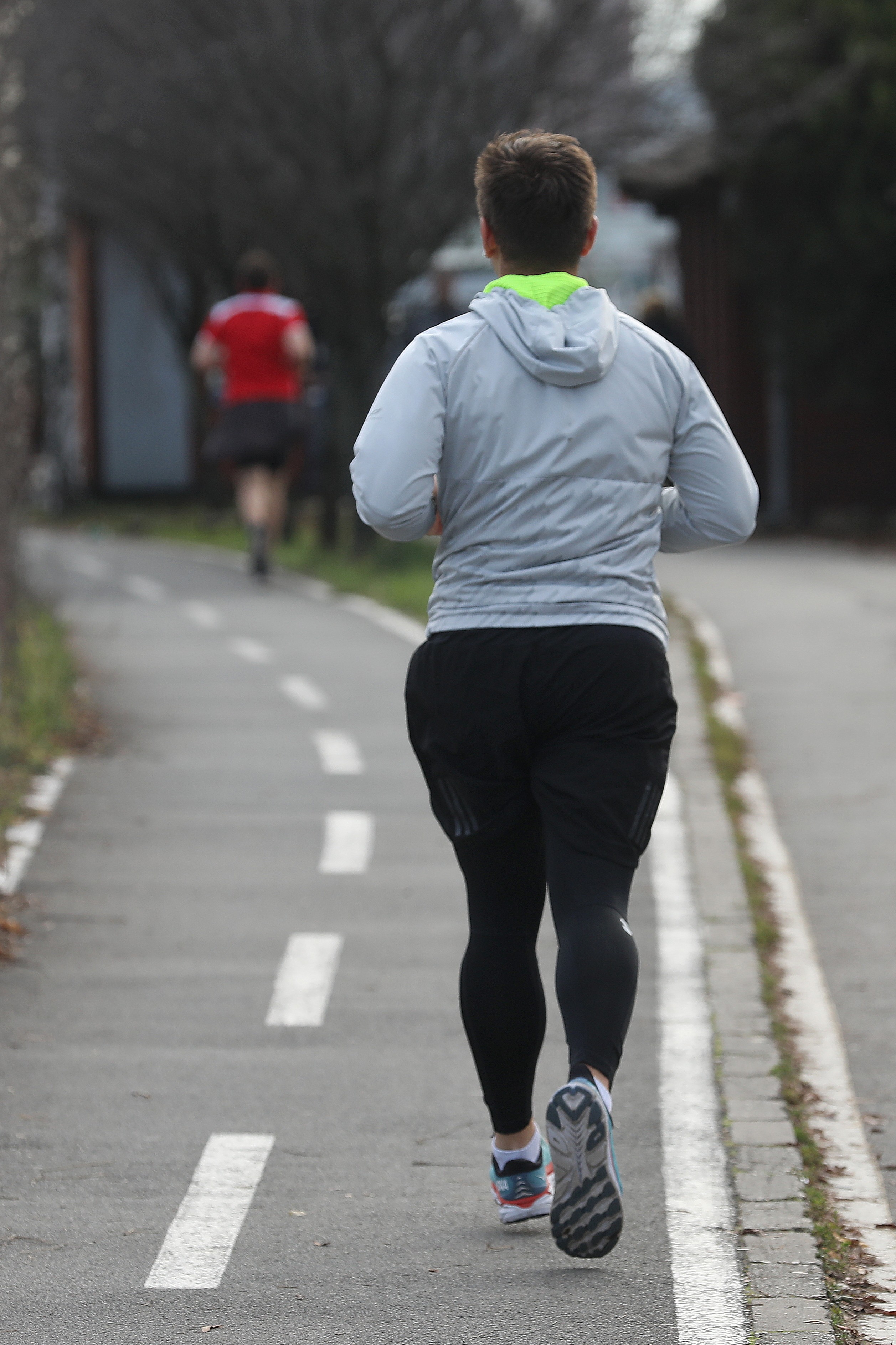 Divljina osvojila grad: Krenuli u šetnju Adom i imali šta da vide, ogromne životinje "prisvojile" izletište