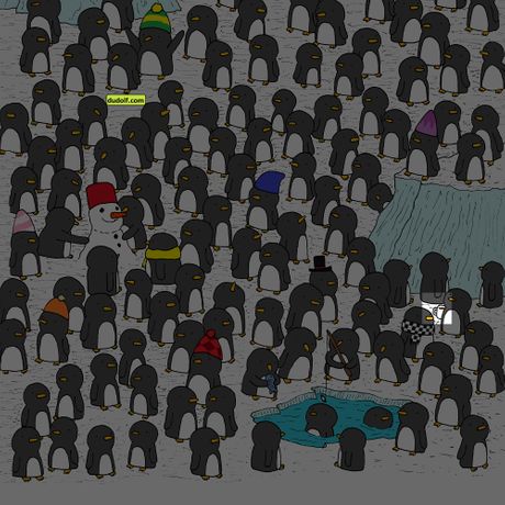 test mozgalica Gergely Dudás