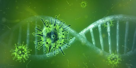 Omikron, korona virus, virus Omikron, korona virus, virus
