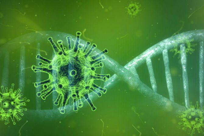 Omikron, korona virus, virus Omikron, korona virus, virus