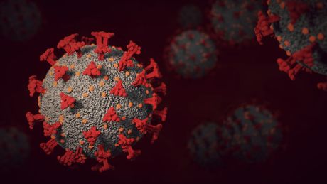 Omikron, korona virus, virus Omikron, korona virus, virus