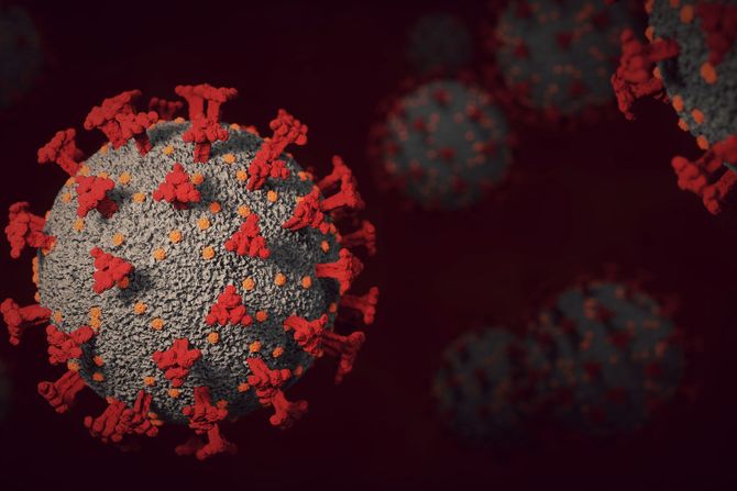 Omikron, korona virus, virus