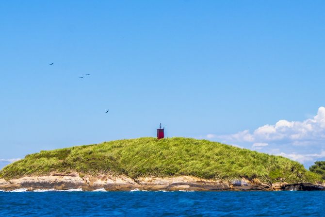 Ilja da Kejmada Grande, Ilha da Queimada Grande,  ostrvo Zmija