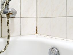 buđ, kada, tuš kabina, čišćenje, pločice, kamenac, slavina