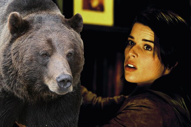 Neve Campbell medved