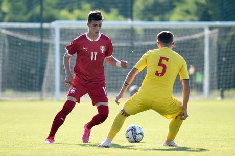 Nikoola Mituljikić, FK Crvena zvezda