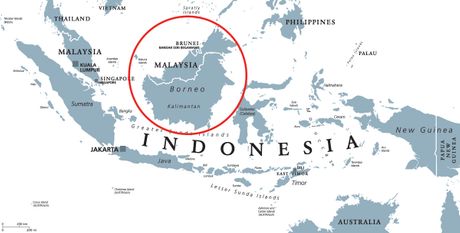 Ostrvo Borneo Indonezija