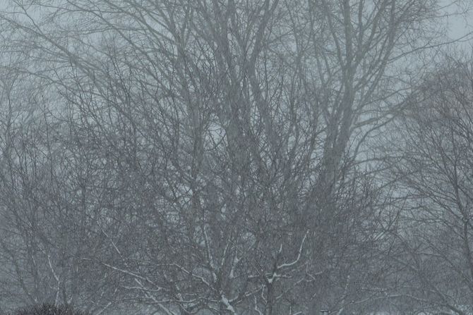 Sneg Beograd pahulje mećava Sneg Beograd pahulje mećava