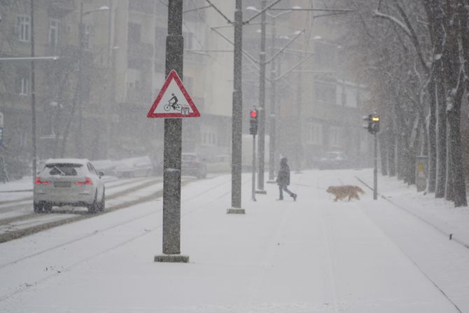 Beograd zima sneg