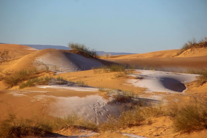 Sneg Sahara