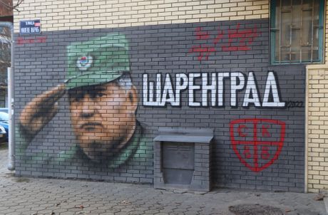 Mural, Ratko Mladić, Novi Sad