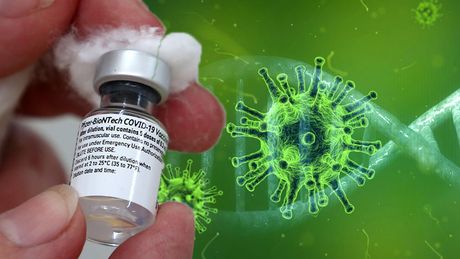 Omikron, korona virus, virus  vakcina koronavirus