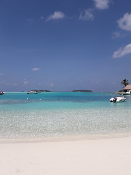 Maldivi