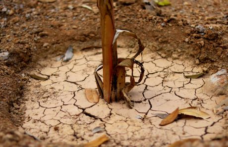 Ethiopia, Etiopija, suša, glad, suva zemlja, neplodna