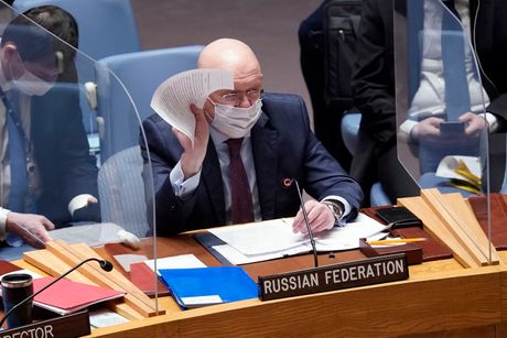 Vasilij Nebenzja, Savet bezbednosti UN