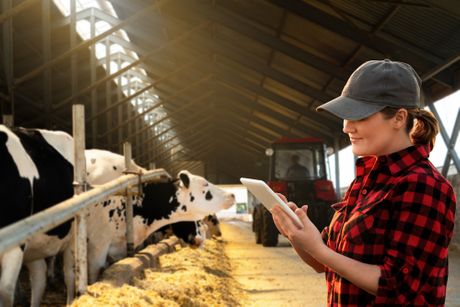 Krave i tehnologija farma