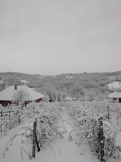 Milan Tomić Gojna Gora