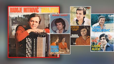 Muzička apoteka Radoje Mitrović Barajevac Muzička apoteka Radoje Mitrović Barajevac