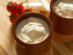 kisela pavlaka pavlaka