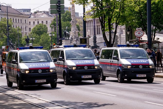 Policija, Austrija, austrijska policija