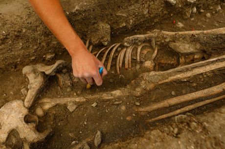 Pronađene ljudske kosti u pustinji, forenzika, leš, ostaci, otkopavanje leša, iskopavanje skeleta, skelet, kosti