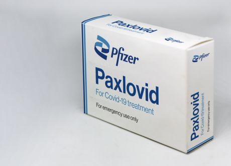 Paxlovid, Pakslovid