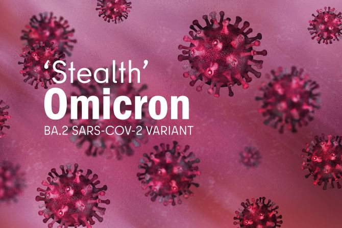 Stealth omicron, Stelt omikron soj, virus, korona