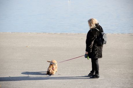 Hladno sunčano vreme, vremenska prognoza, šetači
