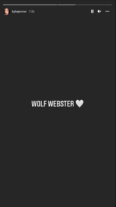 Kajli Džener, stori