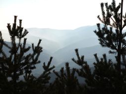 Gloška planina - Bosilegrad, 365 dana kroz Srbiju