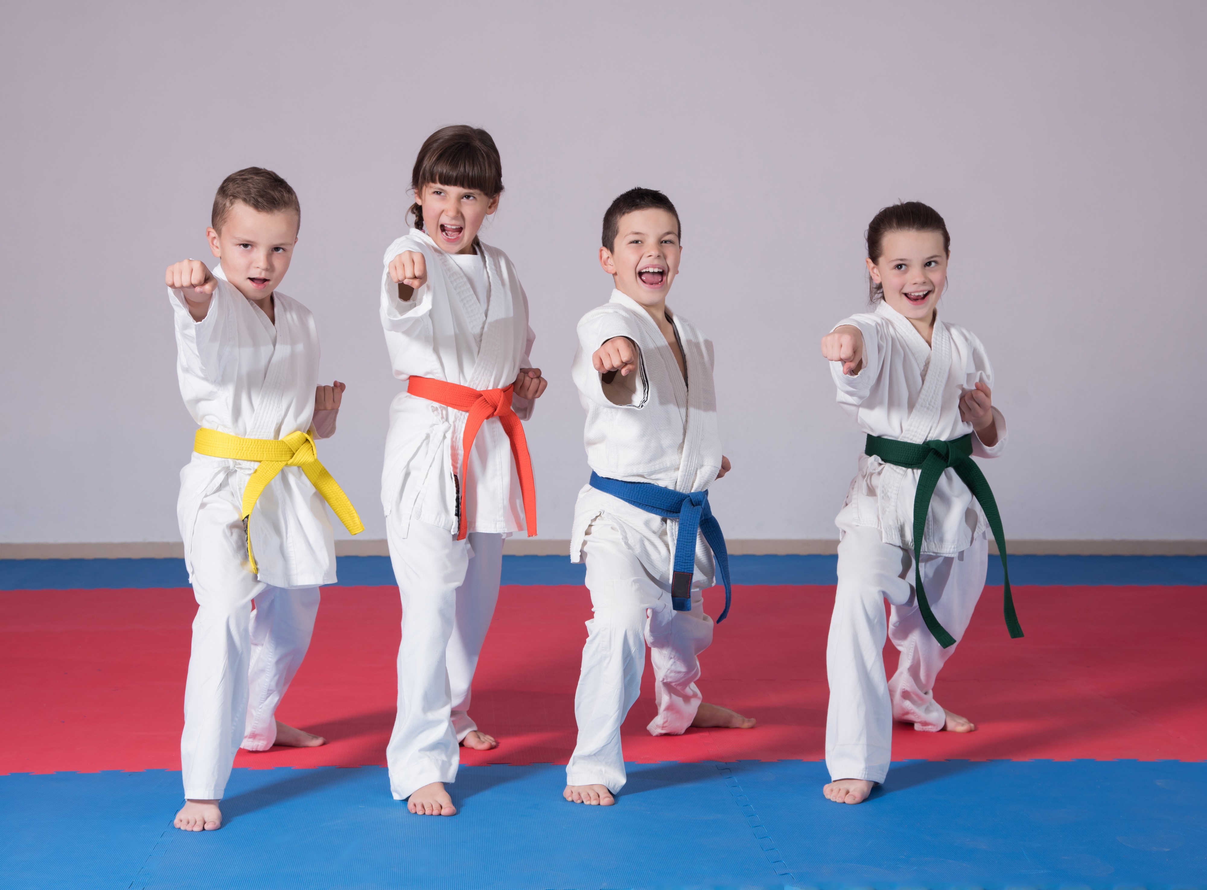 Tri medalje za karatiste iz Leposavića na turniru u Raški