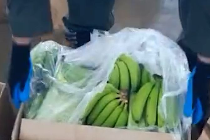 banane droga kokain balkanski kartel