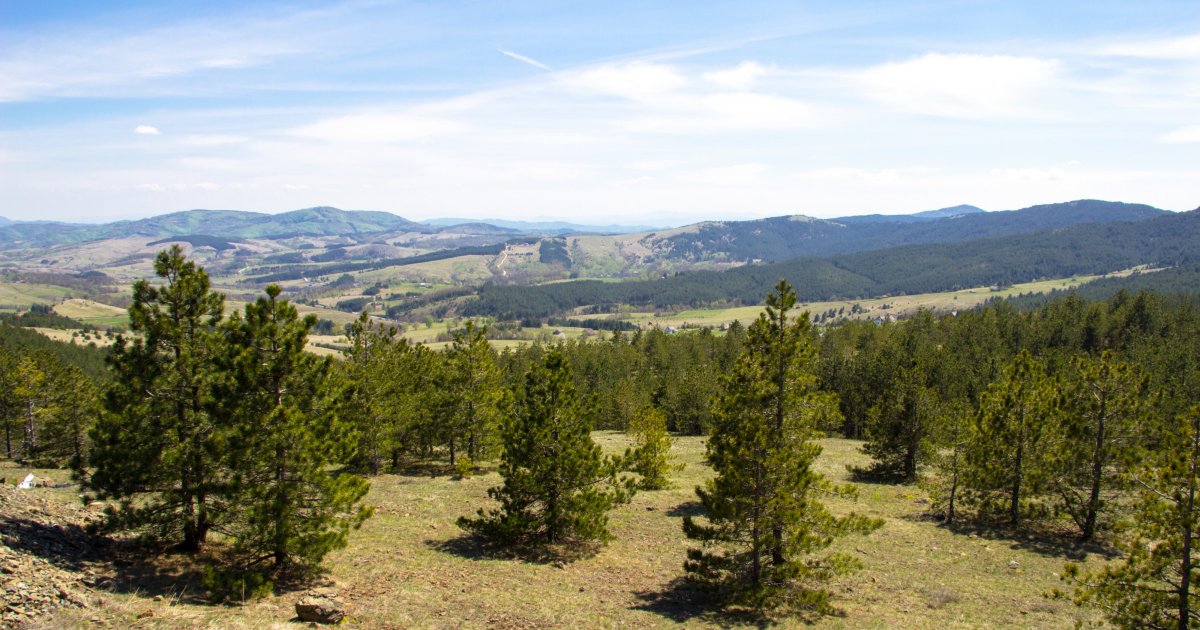 Ova srpska planina može da se pohvali sa čak 4 rezervata prirode: Vazduh je jako zdrav i bogat jodom