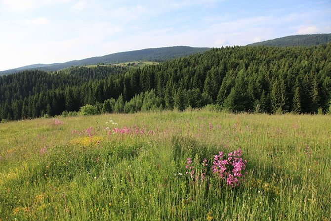 365 dana kroz Srbiju Zlatar planina - Nova Varoš