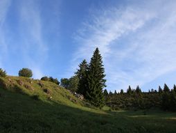 365 dana kroz Srbiju Zlatar planina - Nova Varoš