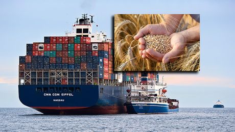 Ruski teretni brod, tovar, izvoz, Pšenica, žetva pšenice, ratar, seljak, žito