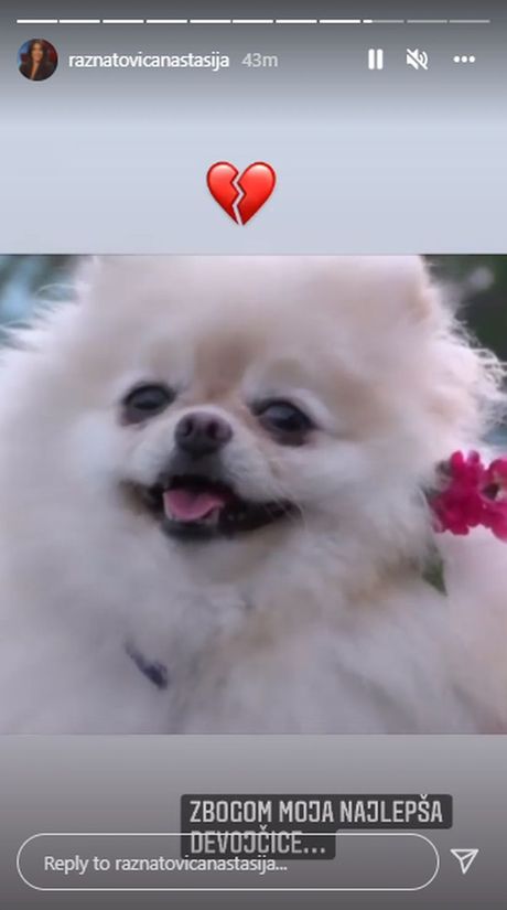 Anastasija Ražnatović