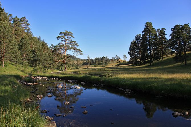 Vodice, Zlatibor