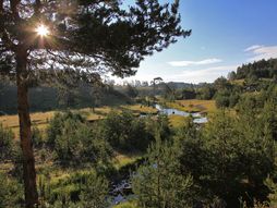 Vodice, Zlatibor