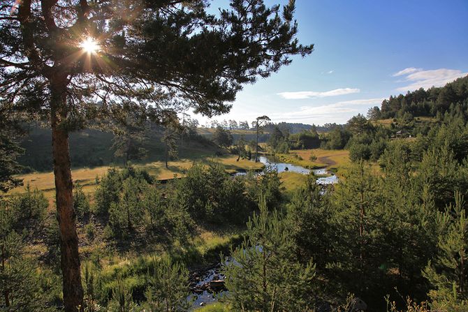 Vodice, Zlatibor