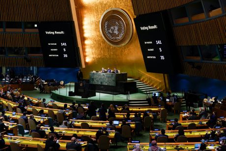 UN Ujedinjene nacije, izglasavanje rezolucije o Ukrajini u ujedinjenim nacijama