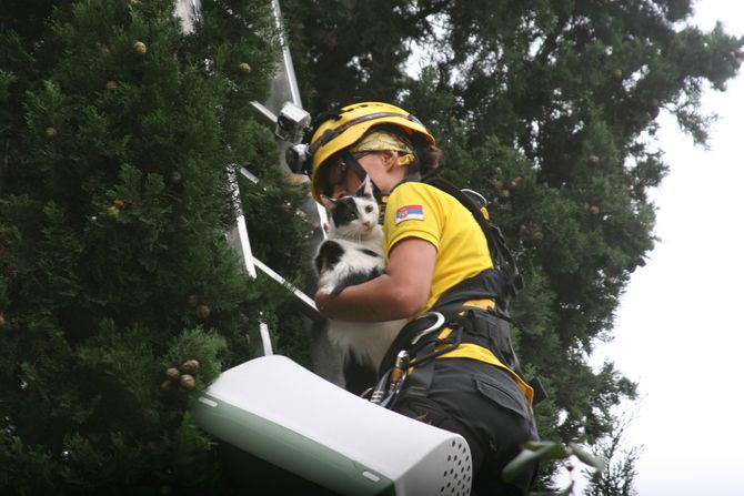 Animal Rescue Serbia, spasioci