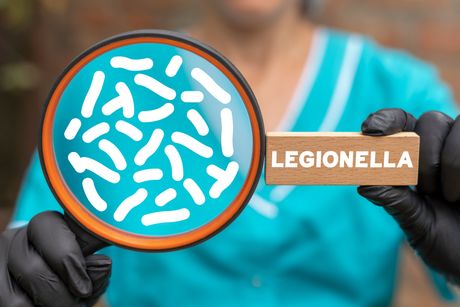 Legionella Legionela bakterija