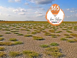 Slano Kopovo, Novi Bečej