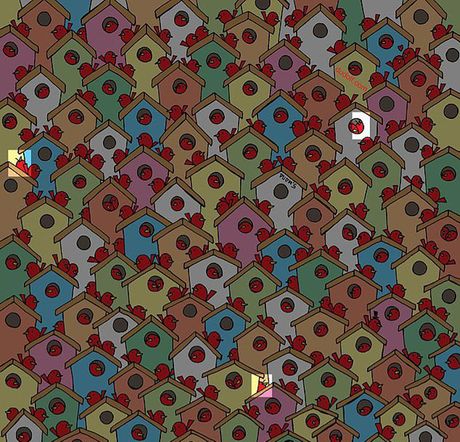 Test, mozgalica, skrivalica Gergely Dudás